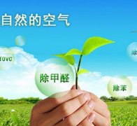 除甲醛對(duì)于住房安全和環(huán)境保護(hù)的作用有什么？