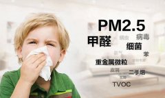 佛山辦公室除甲醛土方法 佛山新房除甲醛什么價格？